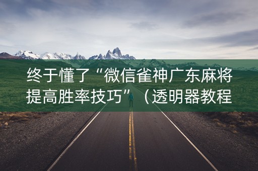 终于懂了“微信雀神广东麻将提高胜率技巧”（透明器教程)
