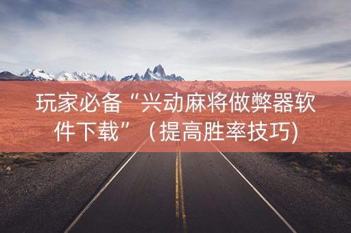 玩家必备“兴动麻将做弊器软件下载”（提高胜率技巧)