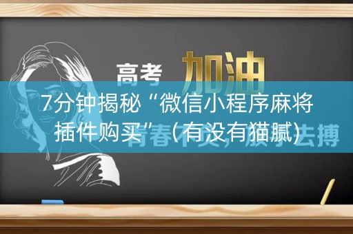 7分钟揭秘“微信小程序麻将插件购买”（有没有猫腻)