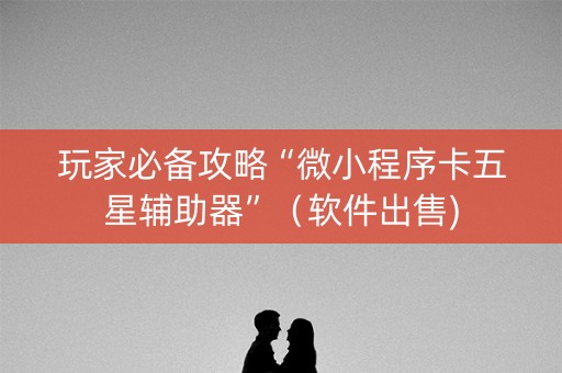 玩家必备攻略“微小程序卡五星辅助器”（软件出售)