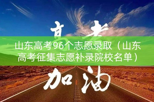 山东高考96个志愿录取（山东高考征集志愿补录院校名单）