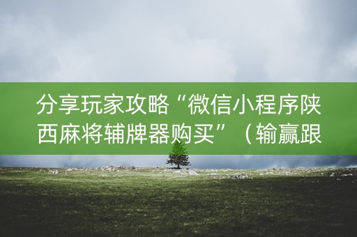 分享玩家攻略“微信小程序陕西麻将辅牌器购买”（输赢跟id号有关系吗)