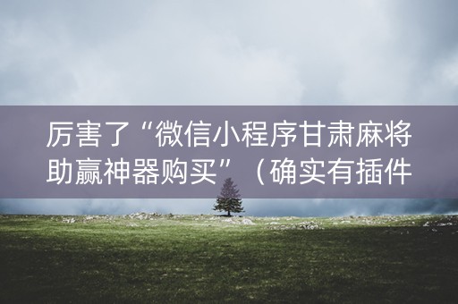 厉害了“微信小程序甘肃麻将助赢神器购买”（确实有插件吗)