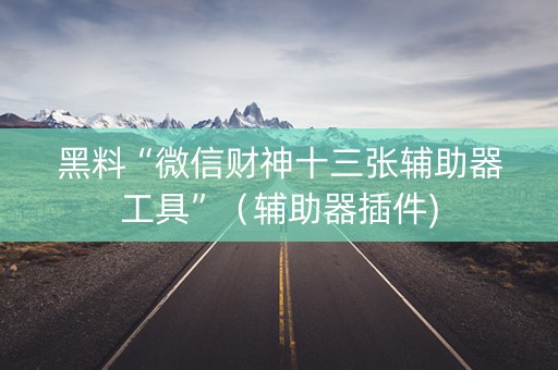 黑料“微信财神十三张辅助器工具”（辅助器插件)