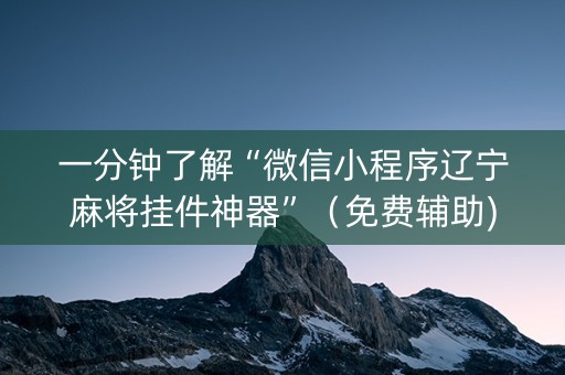 一分钟了解“微信小程序辽宁麻将挂件神器”（免费辅助)