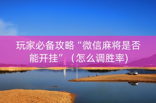 玩家必备攻略“微信麻将是否能开挂”（怎么调胜率)