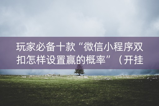 玩家必备十款“微信小程序双扣怎样设置赢的概率”（开挂辅助器脚本)