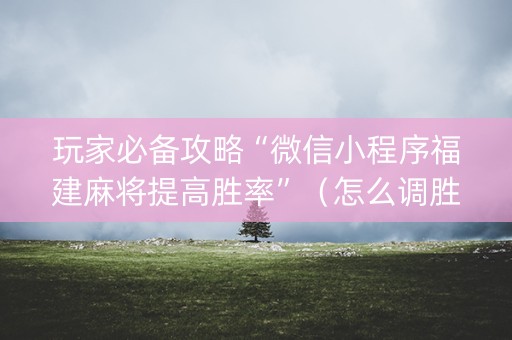 玩家必备攻略“微信小程序福建麻将提高胜率”（怎么调胜率)