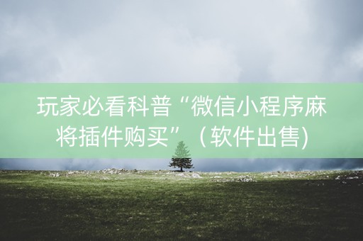 玩家必看科普“微信小程序麻将插件购买”（软件出售)