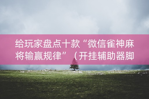 给玩家盘点十款“微信雀神麻将输赢规律”（开挂辅助器脚本)
