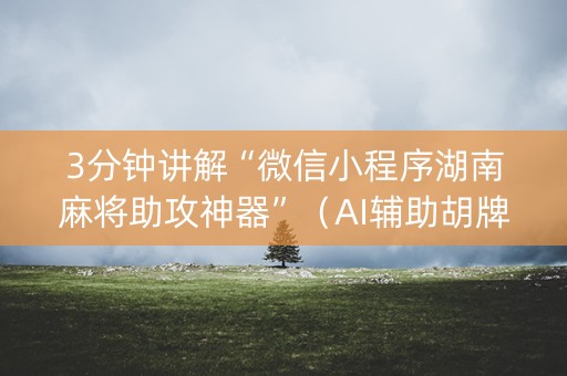 3分钟讲解“微信小程序湖南麻将助攻神器”（AI辅助胡牌规则)