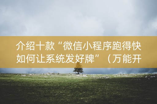 介绍十款“微信小程序跑得快如何让系统发好牌”（万能开挂器)