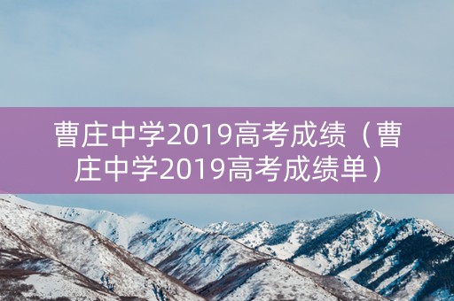 曹庄中学2019高考成绩（曹庄中学2019高考成绩单）