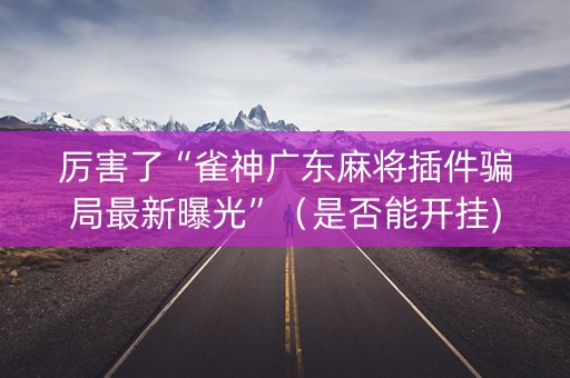厉害了“雀神广东麻将插件骗局最新曝光”（是否能开挂)