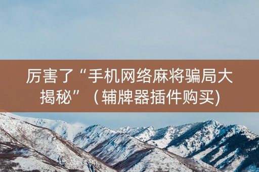 厉害了“手机网络麻将骗局大揭秘”（辅牌器插件购买)