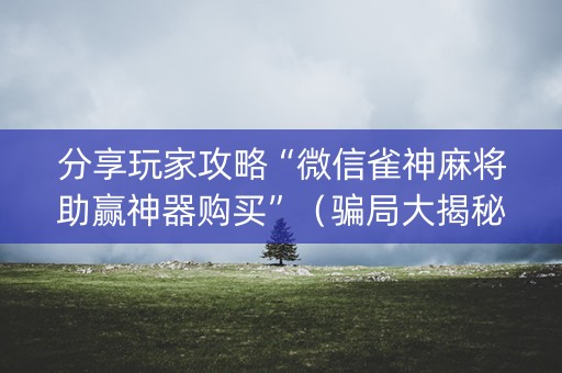 分享玩家攻略“微信雀神麻将助赢神器购买”（骗局大揭秘)