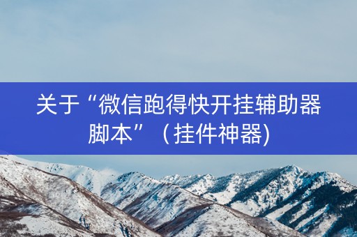 关于“微信跑得快开挂辅助器脚本”（挂件神器)