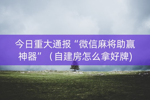 今日重大通报“微信麻将助赢神器”（自建房怎么拿好牌)