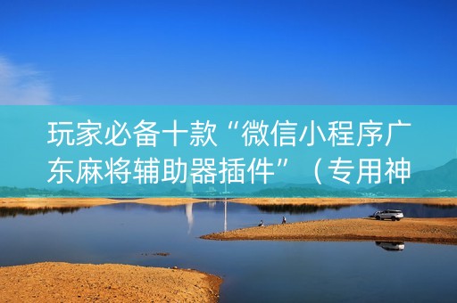 玩家必备十款“微信小程序广东麻将辅助器插件”（专用神器)