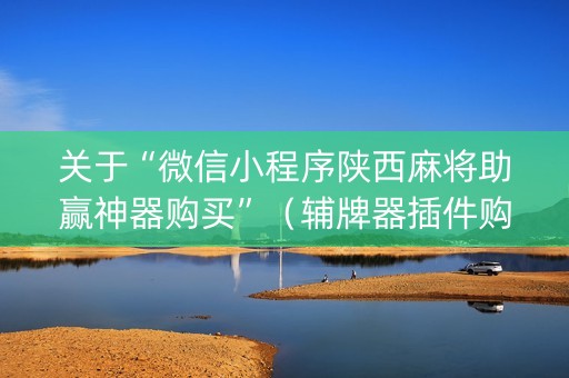 关于“微信小程序陕西麻将助赢神器购买”（辅牌器插件购买)