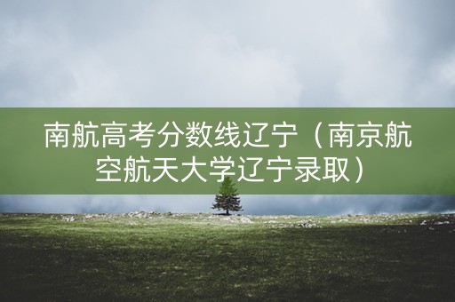 南航高考分数线辽宁（南京航空航天大学辽宁录取）