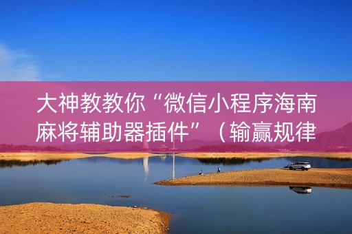 大神教教你“微信小程序海南麻将辅助器插件”（输赢规律)