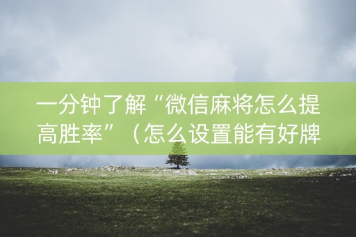 一分钟了解“微信麻将怎么提高胜率”（怎么设置能有好牌)