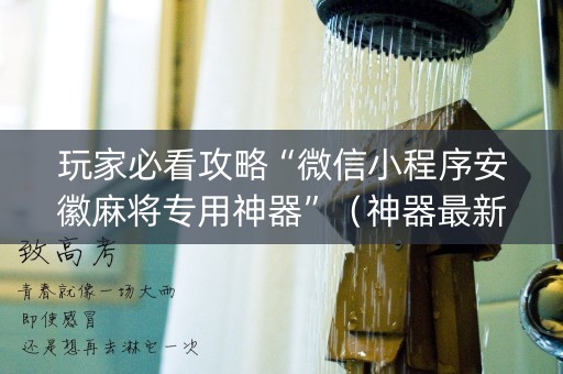玩家必看攻略“微信小程序安徽麻将专用神器”（神器最新免费)