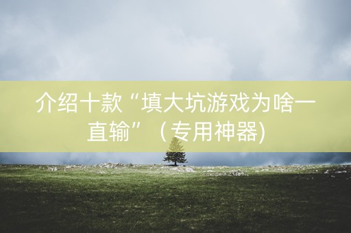 介绍十款“填大坑游戏为啥一直输”（专用神器)