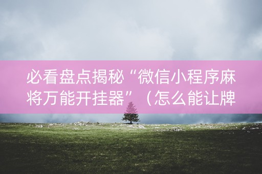 必看盘点揭秘“微信小程序麻将万能开挂器”（怎么能让牌好一点)