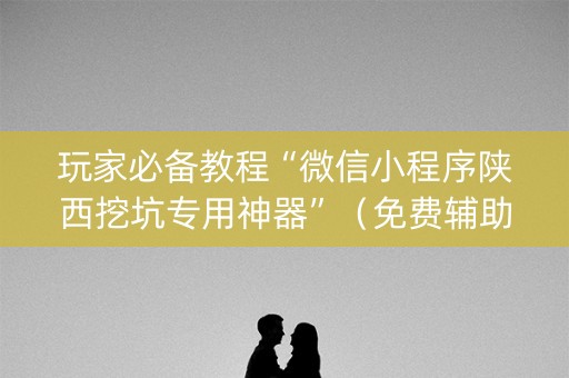 玩家必备教程“微信小程序陕西挖坑专用神器”（免费辅助)