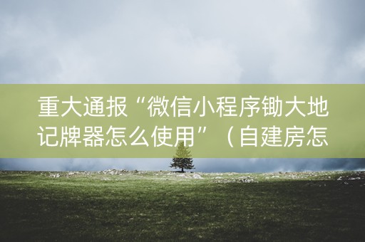 重大通报“微信小程序锄大地记牌器怎么使用”（自建房怎么拿好牌)