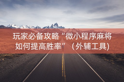 玩家必备攻略“微小程序麻将如何提高胜率”（外辅工具)