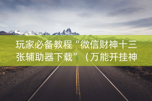 玩家必备教程“微信财神十三张辅助器下载”（万能开挂神器)