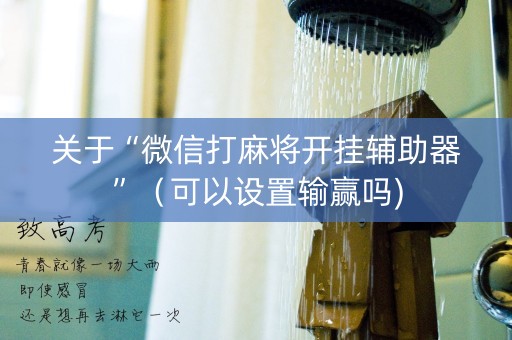 关于“微信打麻将开挂辅助器”（可以设置输赢吗)