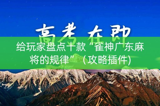 给玩家盘点十款“雀神广东麻将的规律”（攻略插件)