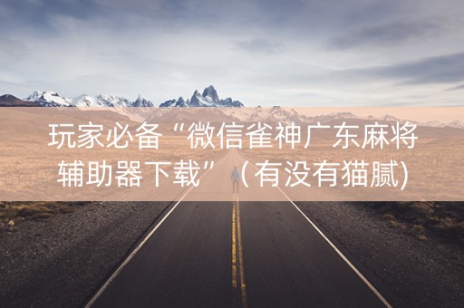 玩家必备“微信雀神广东麻将辅助器下载”（有没有猫腻)