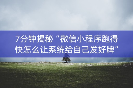7分钟揭秘“微信小程序跑得快怎么让系统给自己发好牌”（助赢神器)