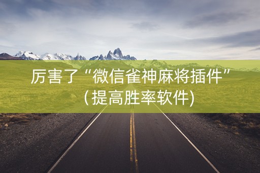 厉害了“微信雀神麻将插件”（提高胜率软件)