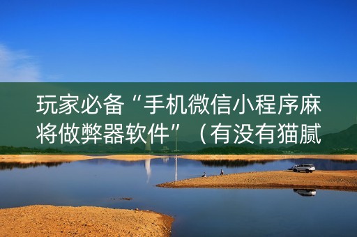 玩家必备“手机微信小程序麻将做弊器软件”（有没有猫腻)