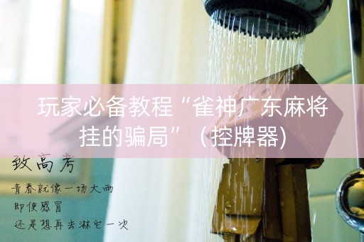 玩家必备教程“雀神广东麻将挂的骗局”（控牌器)
