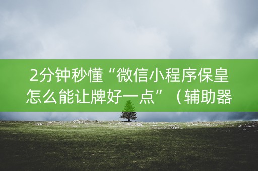 2分钟秒懂“微信小程序保皇怎么能让牌好一点”（辅助器下载)