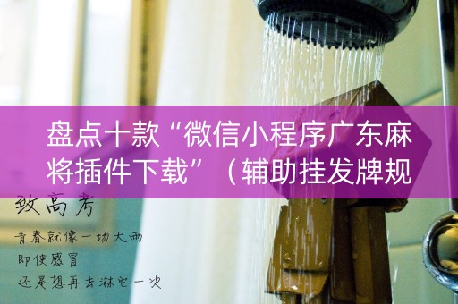 盘点十款“微信小程序广东麻将插件下载”（辅助挂发牌规律)