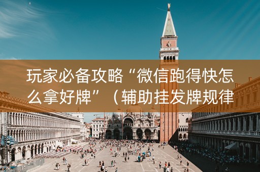 玩家必备攻略“微信跑得快怎么拿好牌”（辅助挂发牌规律)