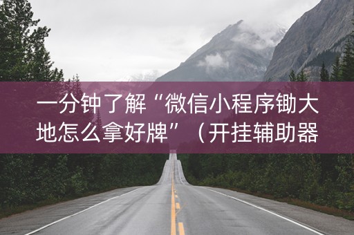 一分钟了解“微信小程序锄大地怎么拿好牌”（开挂辅助器插件)