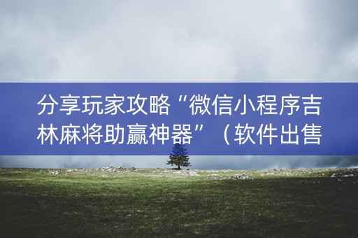 分享玩家攻略“微信小程序吉林麻将助赢神器”（软件出售)