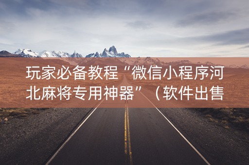 玩家必备教程“微信小程序河北麻将专用神器”（软件出售)
