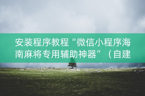 安装程序教程“微信小程序海南麻将专用辅助神器”（自建房胜负规律)