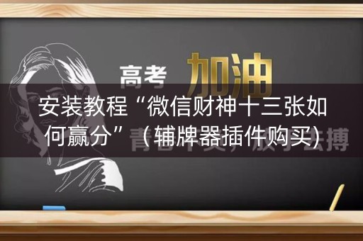 安装教程“微信财神十三张如何赢分”（辅牌器插件购买)