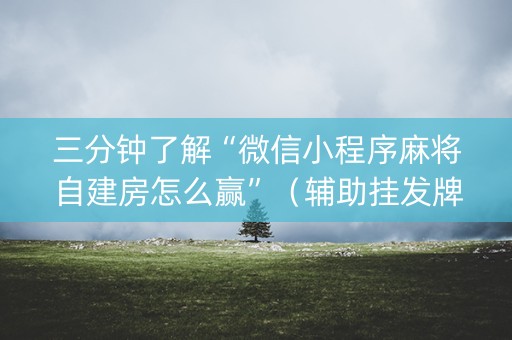 三分钟了解“微信小程序麻将自建房怎么赢”（辅助挂发牌规律)